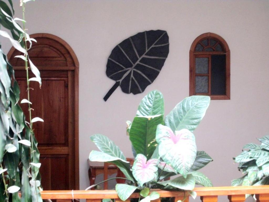 Hotel Guzman Xilitla Luaran gambar